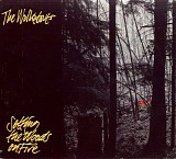 The Walkabouts - Setting The Woods On Fire