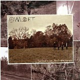 Willet - Teeth Of A Lion, Fangs Of A Lioness