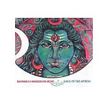Maneesh de Moor & Bahramji - Call of the Mystic