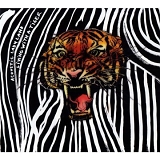 Acoustic Ladyland - Living WIth A Tiger