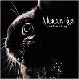 Mercury Rev - Snowflake Midnight