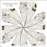 The Pineapple Thief - 3000 Days