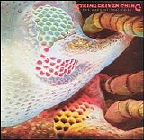 String Driven Thing - The Machine That Cried