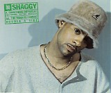 Shaggy - Something Different / The Train Is Coming