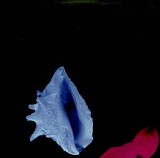 New Order - 1987 - Touched By The Hand Of God (12" Single)