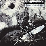 David Sylvian - Promise