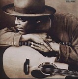 Eric Bibb - Diamond Days