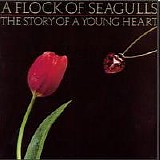 A Flock Of Seagulls - The Story Of A Young Heart