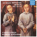 Bach JS - J.S. Bach Motets Cantus CÃ¶lln