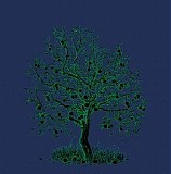 Nick Drake - Five Leaves Left