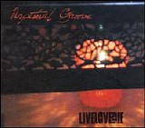 Perpetual Groove - AthFest 2008