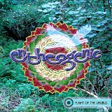 Entheogenic - Flight Of The Urubus