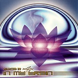 Various artists - In My Brain