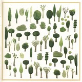 Yuichiro Fujimoto - Kinoe