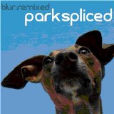 Instamatic - ParkSpliced