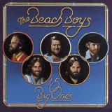 The Beach Boys - 15 Big Ones / Love You