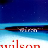 Brian Wilson - Imagination