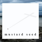 The Mustard Seeds - The Mustard Seeds