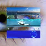 Pink Floyd - A Tree Full Of Secrets Disc 10