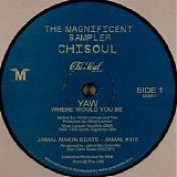 Various artists - The Magnificient Sampler-YAW/JAMAL MAKIN BEATS/JMB