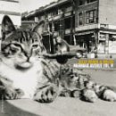Wilco & Billy Bragg - Mermaid Avenue, Vol. 2