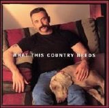 Aaron Tippin - What This Country Needs