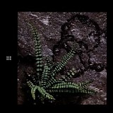 Led Zeppelin 4CD Box Set - Box Set Disc3