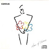 Icehouse - Man of Colours