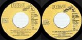 Paul Anka - As Long As We Keep Believing/As Long As We Keep Believing (US Promo)