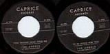 The Angels - You Should Have Told Me/I'd Be Good For You (US)