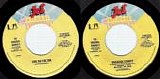 The Original Animals - Fire On The Sun/Riverside County (US)