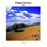 AEM - Polygon Structure