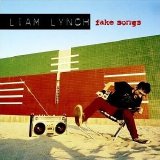 Liam Lynch - Fake Songs