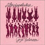 Los Aterciopelados - Gozo Poderoso