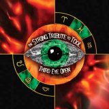 Tool - Third Eye Open - The String Tribute To Tool