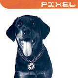 Pixel - Invitame