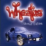 Wheatus - Teanage Dirtbag