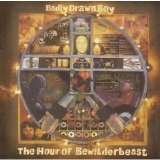 Badly Drawn Boy - The Hour Of Bewilderbeast