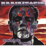 Rammstein - Brachiale Gewalt