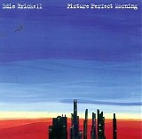 Edie Brickell - Picture Perfect Morning