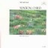 Michael Jones - Magical Child
