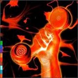 Peter Gabriel - Secret World Live