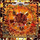 Levitation - Need For Not
