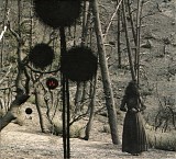 Isis - Not In Rivers, But In Drops