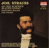 Johann Strauss - An der schÃ¶nen blauen Donau - BerÃ¼hmte Walzer und Polkas