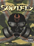 Soulfly - The Song Remains Insane
