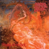 Morbid Angel - Blessed Are The Sick