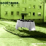 Various artists - Deep Electric Flow