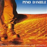 Pino Daniele - Non calpestare i fiori nel deserto