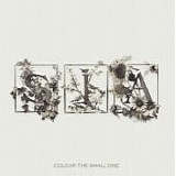 Sia - Colour the small one